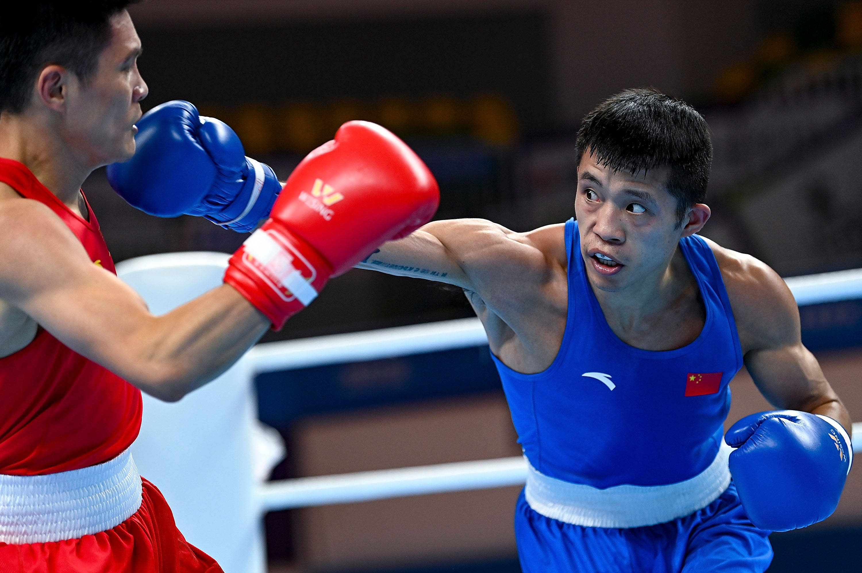 法国拳击选手成功晋级男子半决赛