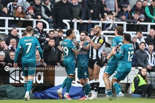 纽卡斯尔联主场大胜埃弗顿,取得连胜 纽卡斯尔联主场大胜埃弗顿,取得连胜