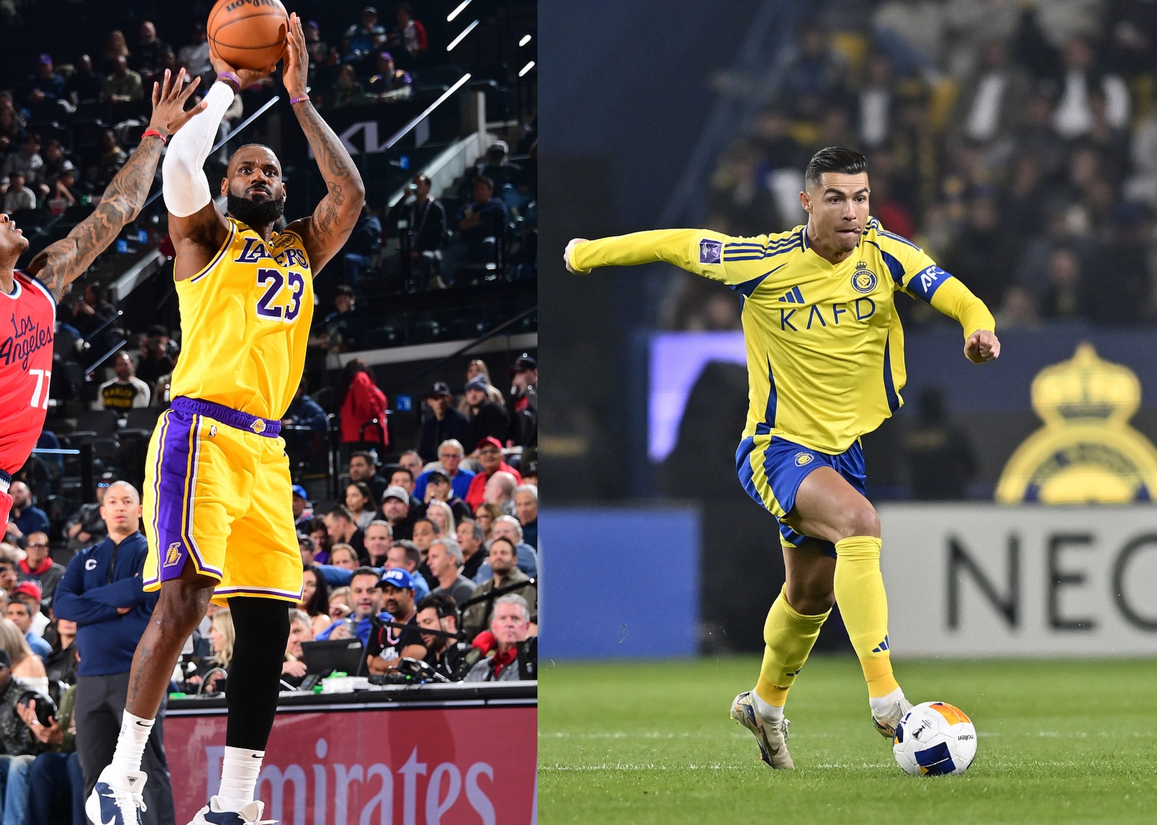 包含欧洲篮球巨星宣布复出，将重返职业赛场的词条