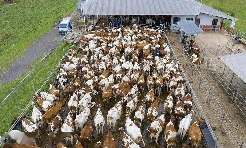 状态持续低迷，图卢兹寻找突破口重振雄风