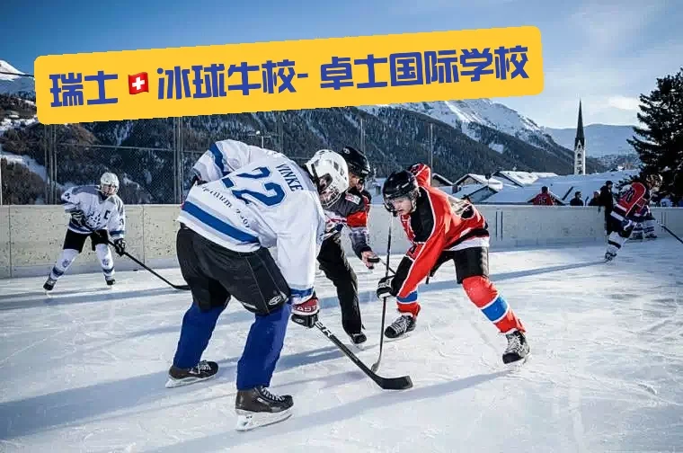 瑞士冰球队大放异彩，实力尽显