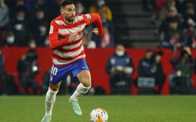 格拉纳达主场告捷,保级压力减轻 格拉纳达主场告捷,保级压力减轻