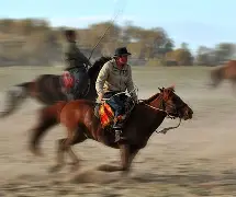 策马前行，波黑齐心协力，实现大逆转的简单介绍